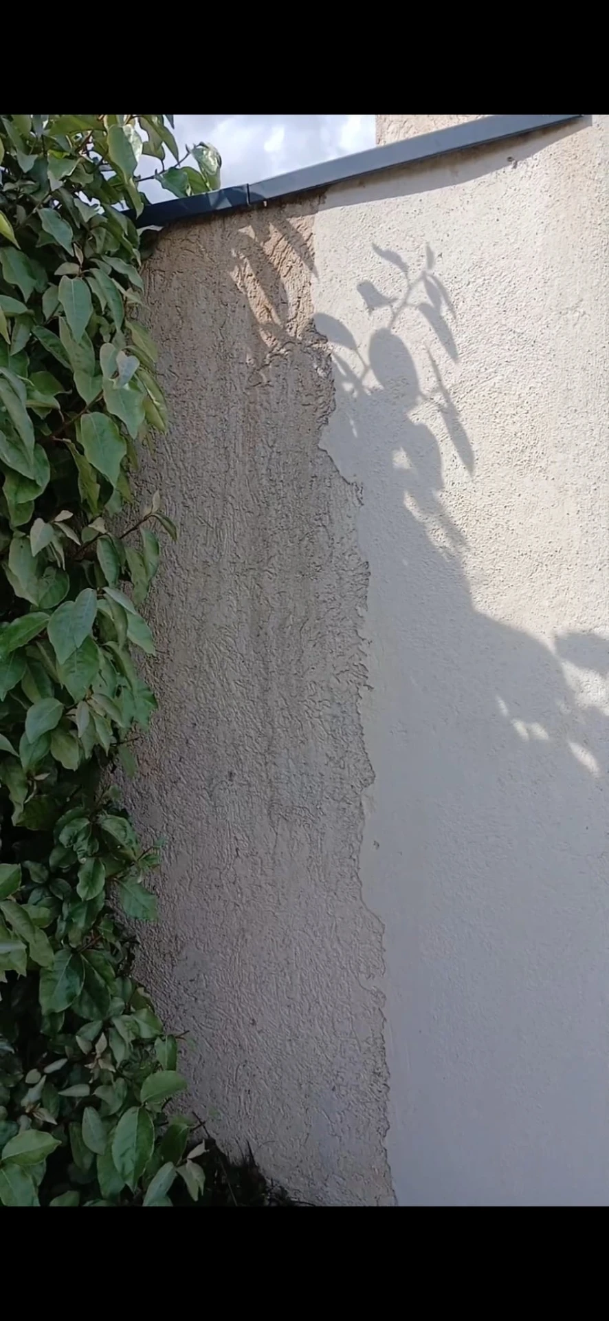Reprise d'enduit sur mur de clôture — avant travaux