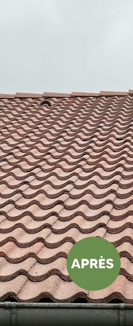 Élimination d'une mousse épaisse sur toiture — après travaux