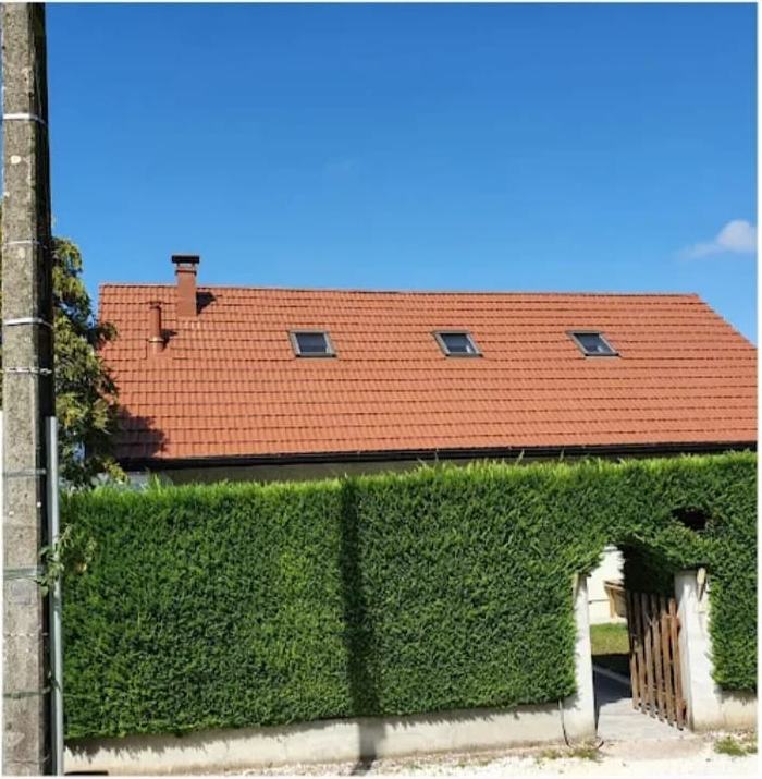 Démoussage d'une toiture de chalet — après travaux
