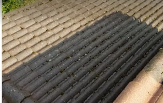 Démoussage d'une toiture et remise en teinte — avant travaux